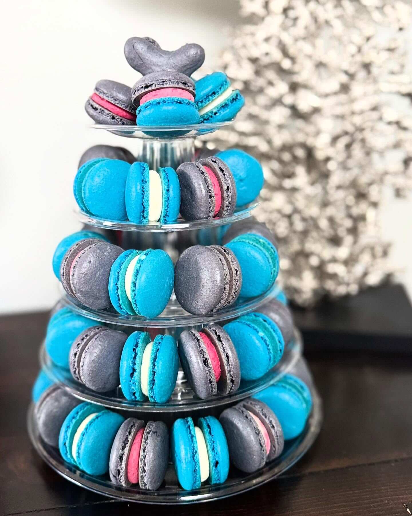 Dairy-free chocolate macarons Victoria BC