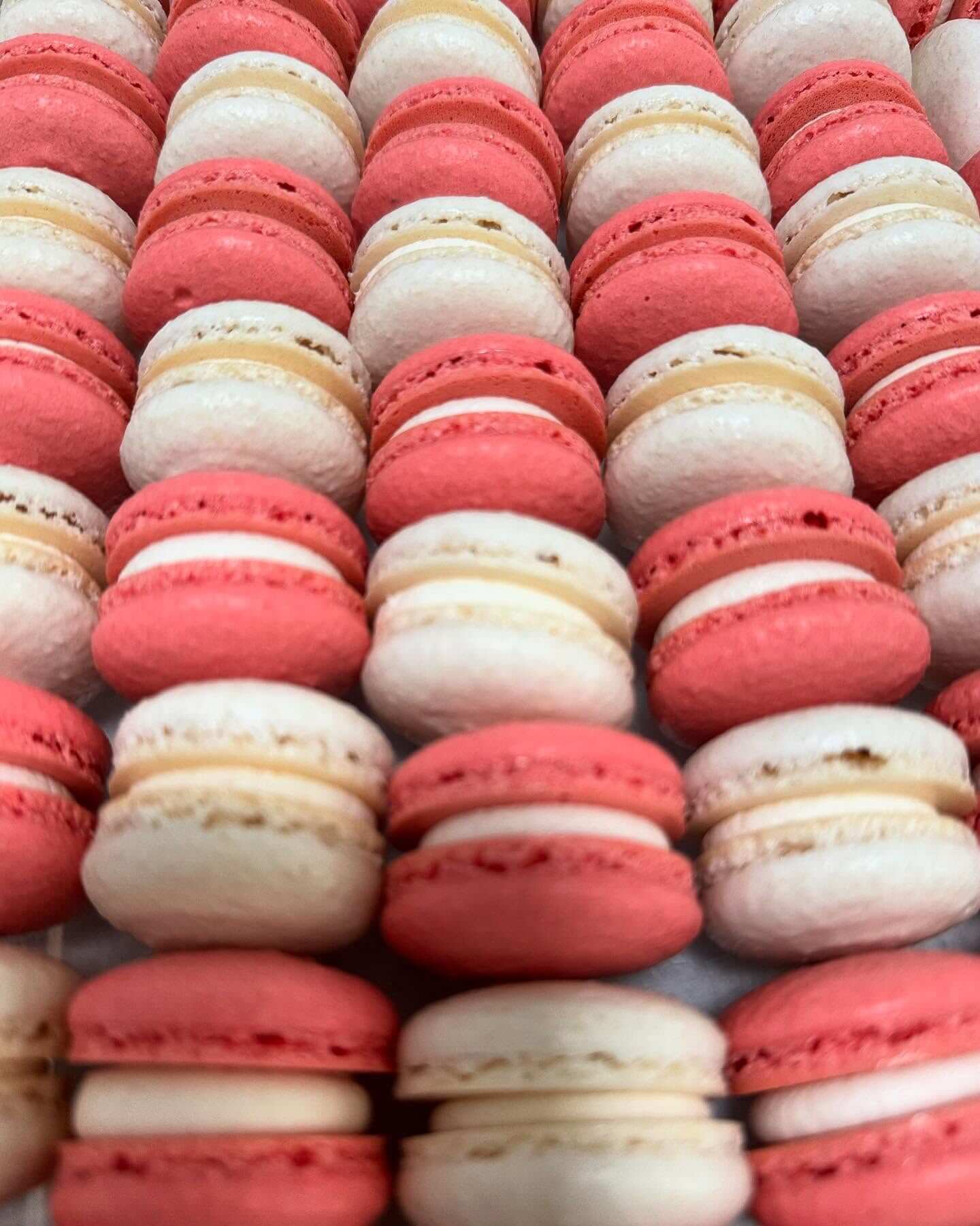 Dairy-free vanilla macarons Victoria BC